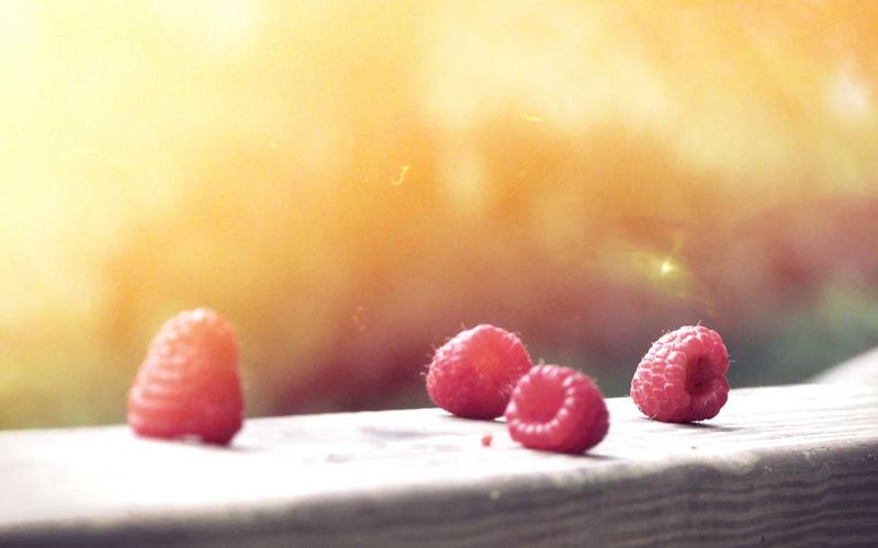 This Cat Figured Out How to Use a Laptop Better Than Most Humans