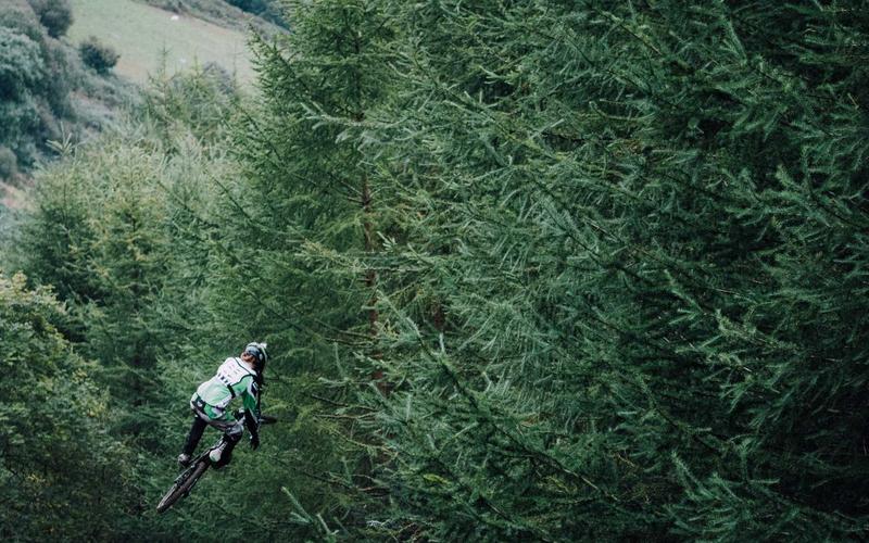 Scientists Discover Deep-Sea Creature That Glows in 7 Different Colors